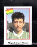 B10 - Sticker fotbal - Campionatul mondial USA - 1994 - nr 171