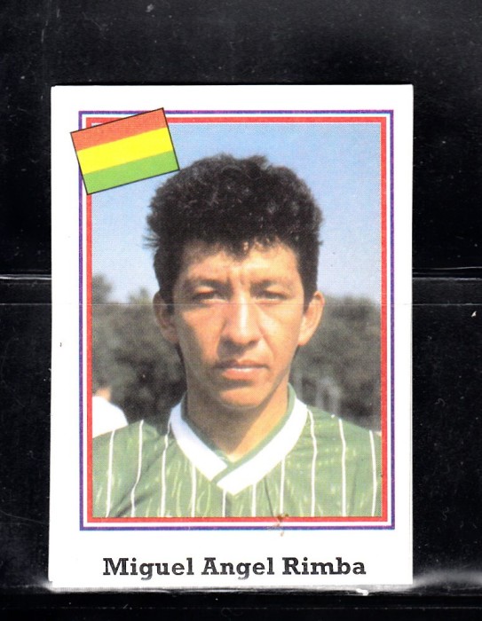 B10 - Sticker fotbal - Campionatul mondial USA - 1994 - nr 171