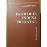 PATOLOGIE INDUSA PRENATAL-M. GEORMANEANU-258585