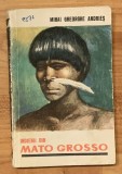 Indienii din Mato Grosso de Mihai Gheorghe Andries