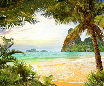 Fototapet autocolant Plaja, palmieri, stanci, 300 x 200 cm foto