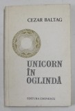 UNICORN IN OGLINDA , versuri de CEZAR BALTAG , 1975 ,