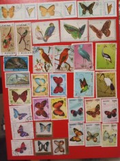 FLUTURI/PĂSĂRI - SERII ȘTAMPILATE (2 FOTO)