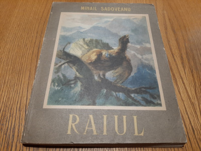 RAIUL - Mihail Sadoveanu - ST. CONSTANTINESCU (ilustratii) - 1955, 187 p. foto
