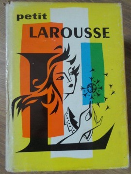 PETIT LAROUSSE-COLECTIV-229030