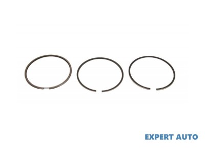 Set segmenti piston Seat SEAT LEON (1M1) 1999-2006 foto