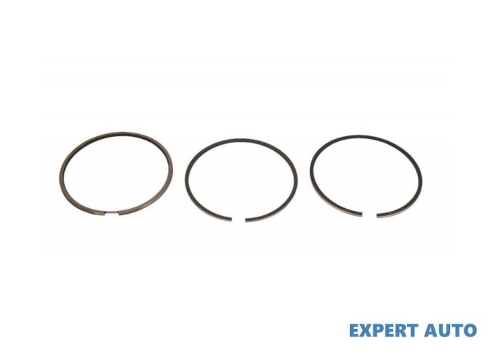 Set segmenti piston Seat SEAT LEON (1M1) 1999-2006