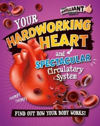 Your Hardworking Heart and Spectacular Circulatory System
