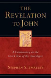 The Revelation to John: A Commentary on the Greek Text of the Apocalypse