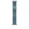 APPLE WATCH 49 LIGHT BLUE N TI ALP S-ZML