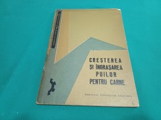 CRE?TEREA ?I INGRA?AREA PUILOR PENTRU CARNE /1968 * 52 foto