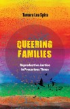 Queering Families: Reproductive Justice in Precarious Times Volume 12