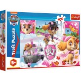 PUZZLE TREFL 100 SKYE IN ACTIUNE SuperHeroes ToysZone