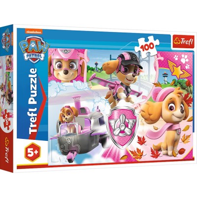 PUZZLE TREFL 100 SKYE IN ACTIUNE foto