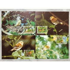 Cook Islands 1989 - pasari, serie CarteMaxima