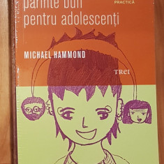 Cum sa fii parinte bun pentru adolescenti de Michael Hammond