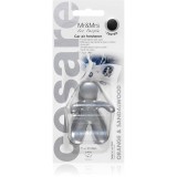 Mr &amp; Mrs Fragrance Cesare Orange &amp; Sandalwood parfum pentru masina 1 buc