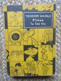 PAINEA LA LOC FIX-TEODOR MAZILU