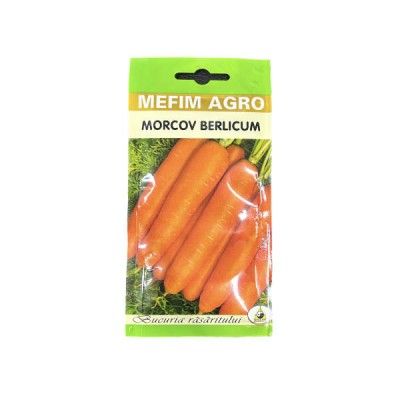 Seminte morcov Berlicum 4 gr, Mefim Agro foto