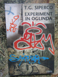 Experiment in oglinda - T. G. Siperco