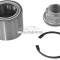 Set rulment roata PEUGEOT BOXER platou / sasiu (ZCT) (1994 - 2002) RINGER 1141006071