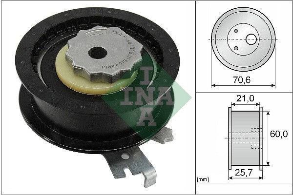 INA 531 0882 10 rola intinzator,curea distributie