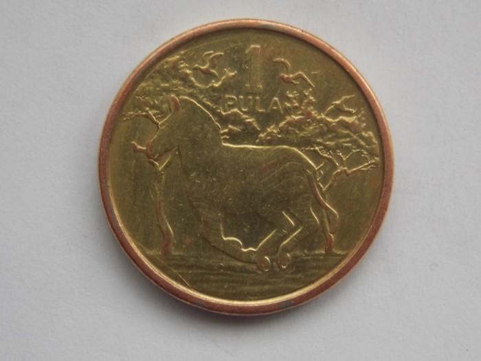 1 PULA 2013 BOTSWANA