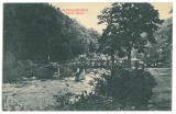 3812 - Baile HERCULANE, Bridge, Romania - old postcard - unused, Necirculata, Printata