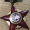 Insigna Fruntas in intrecerea 1967