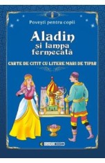 Aladin si lampa fermecata. Povesti pentru copii foto