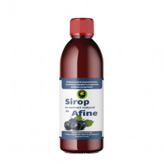 Sirop Afine cu Zahar 500 mililitri Hypericum