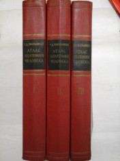 ATLAS DE ANATOMIE UMANA - SINELNIKOV - 3 volume - in limba rusa foto