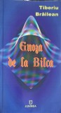 Gnoza de la Bilca - Tiberiu Braileanu, Editura Junimea, 2007, Filosofie, Carte Paperback, 265 Pagini
