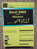 Greg Harvey - EXCEL 2000 pentru Windows pentru ... aMici