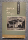 Ştefan Ştefănescu - Bănia &icirc;n Ţara Rom&acirc;nească