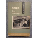 Ştefan Ştefănescu - Bănia &icirc;n Ţara Rom&acirc;nească