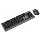 Set Gaming Tastatura si Mouse cu Leduri RGB si USB WB 595 2F016 XXM