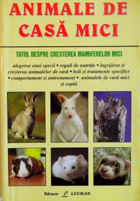 ANIMALE DE CASA MICI de MARGIE WILSON foto