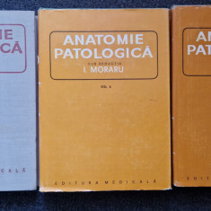 ANATOMIE PATOLOGICA - I. Moraru (3 volume)