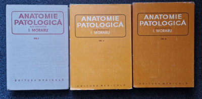 ANATOMIE PATOLOGICA - I. Moraru (3 volume) foto