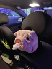 Suport servetele auto din plus pentru tetiera foto