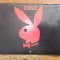 Calendar de perete Playboy 2002 / R1P1P