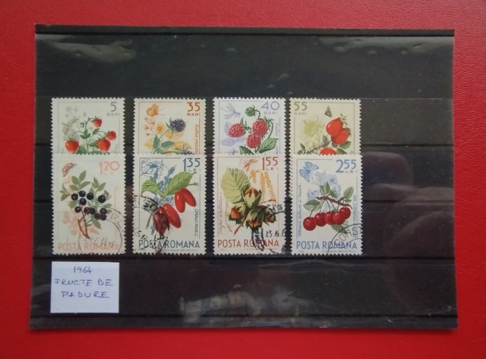 1964 - FRUCTE DE PADURE