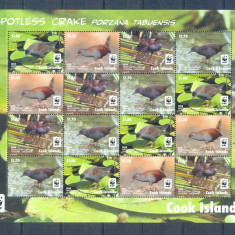 WWF 2014 COOK ISLANDS Coala cu 4 serii de cate 4 timbre nestampilate PASARI MNH
