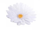 Cumpara ieftin Set 2 Margarete artificiale 70x15 cm