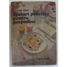 SFATURI PRACTICE PENTRU GOSPODINE de DRAGA NEAGU , 1987