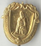 Insigna Medicina sanitara sora infirmiera 1954