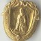 Insigna Medicina sanitara sora infirmiera 1954