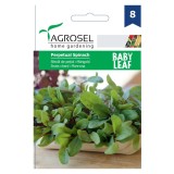 Seminte legume Agrosel, sfecla petiol Perpetual Spinach