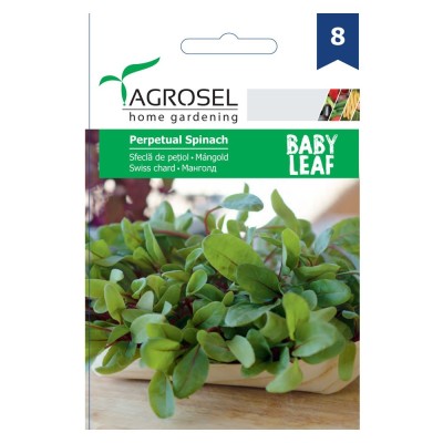 Seminte legume Agrosel, sfecla petiol Perpetual Spinach foto